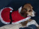 Lucy as Santa (2)