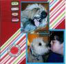 puppy love.jpg